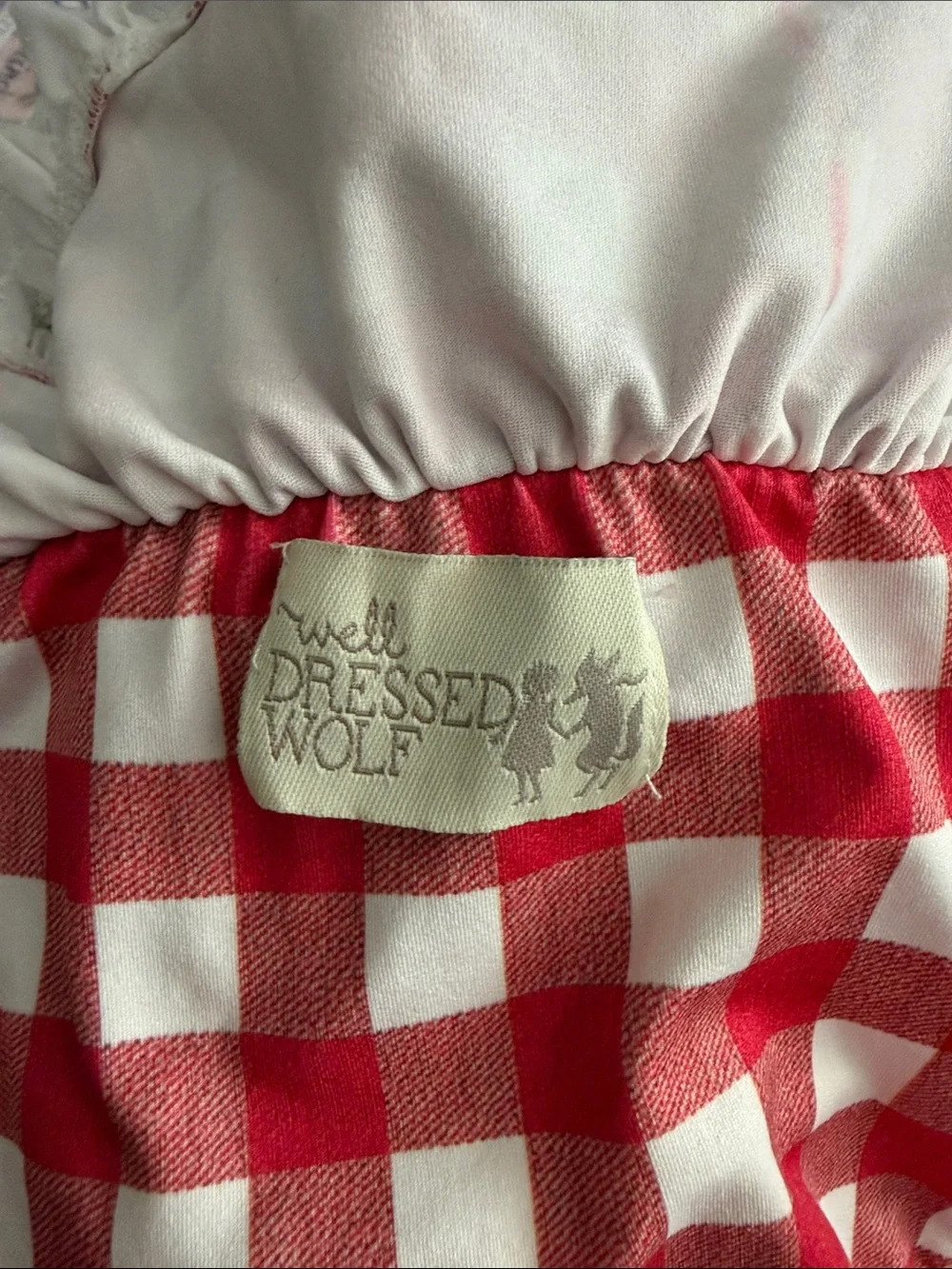Well Dressed Wolf Red and White Gingham Ruffle Kids Bikini